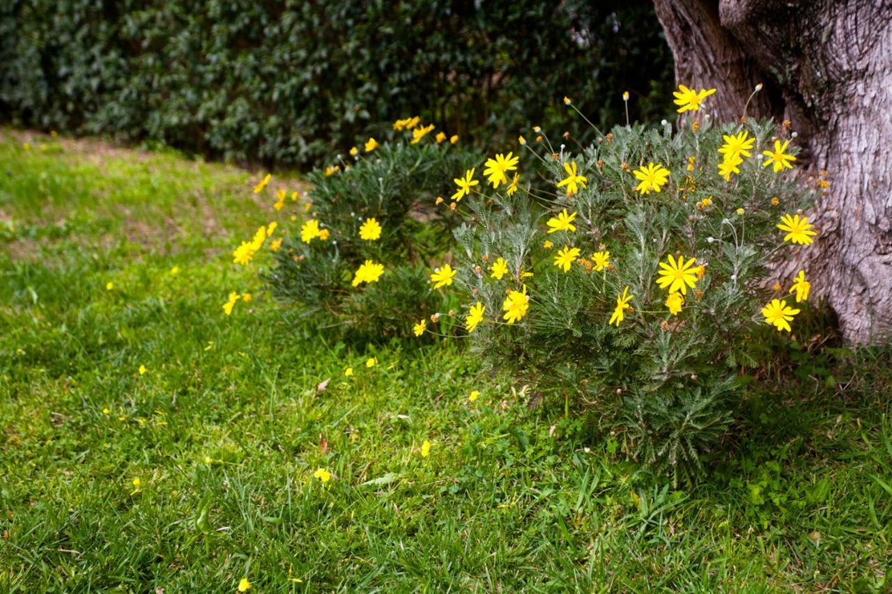 La Casa Di Caterina: Nature,Relax And Private Garden Lefkáda Eksteriør billede
