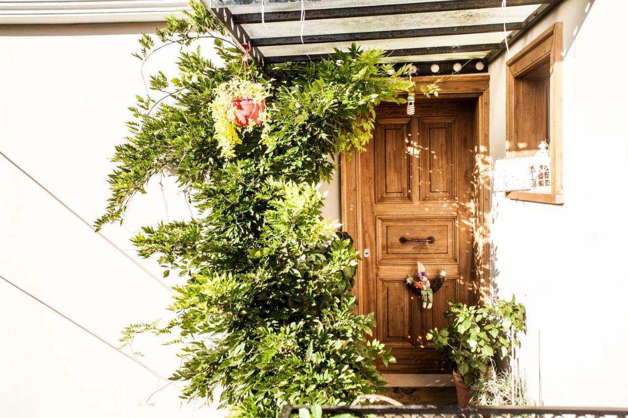 La Casa Di Caterina: Nature,Relax And Private Garden Lefkáda Eksteriør billede