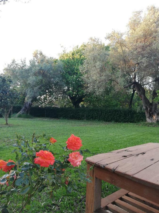 La Casa Di Caterina: Nature,Relax And Private Garden Lefkáda Eksteriør billede